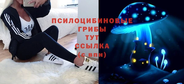 ECSTASY Армянск